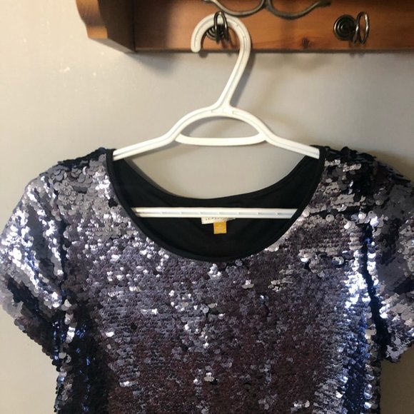 Anthropologie leifsdottir blue sequin top medium - Picture 3 of 8